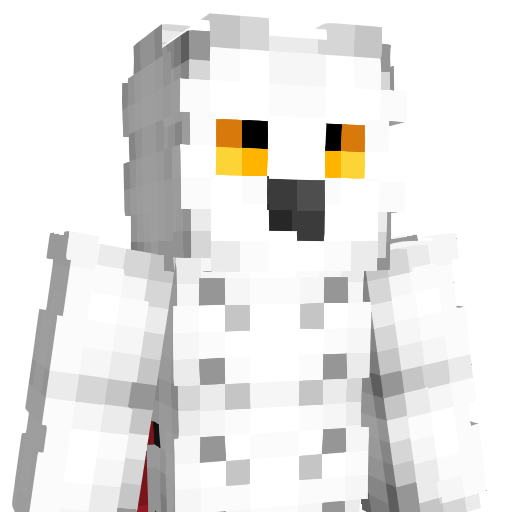 Crashtendo's skin