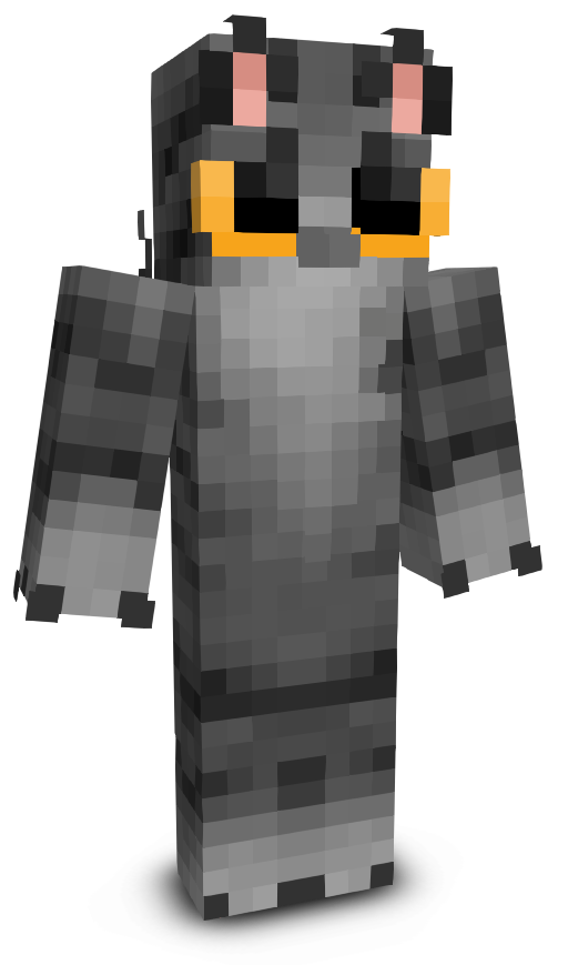 S1llyy's skin