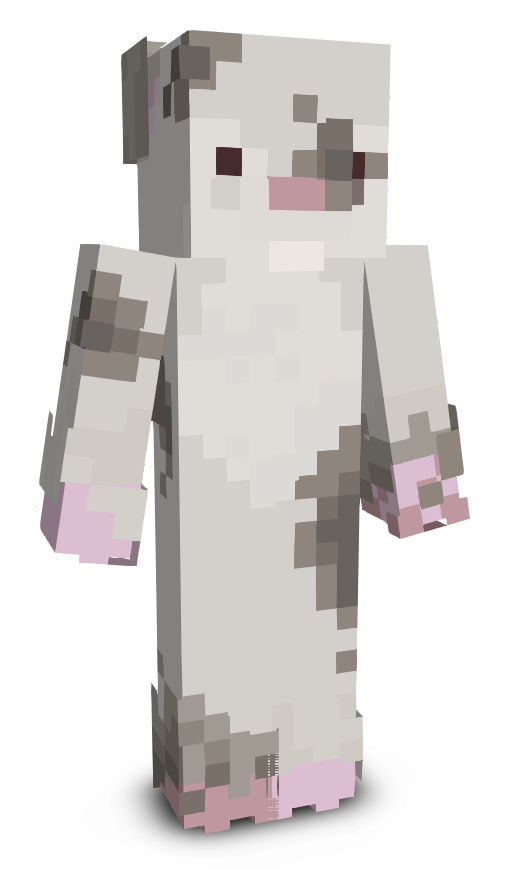 Connnnn's skin