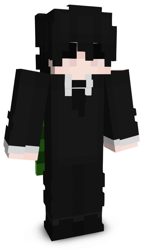 NotRyansterr's skin