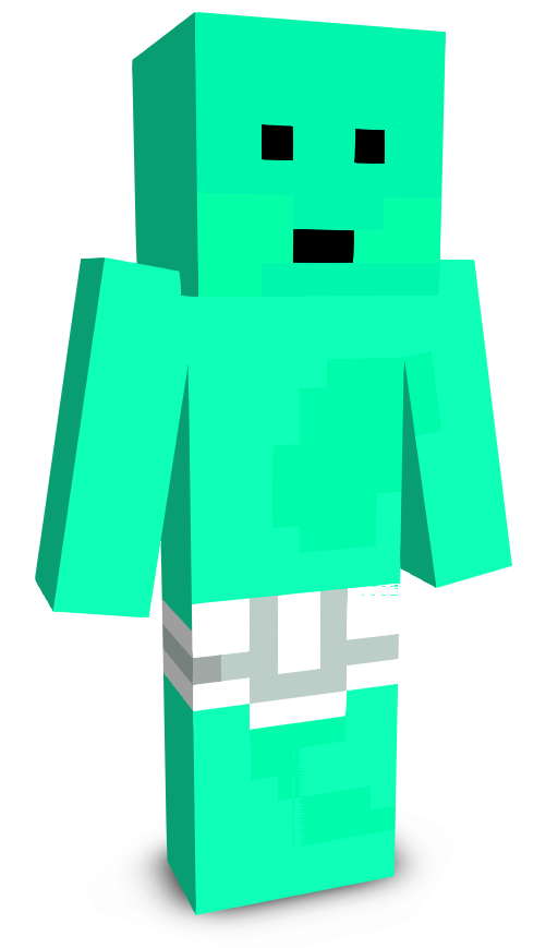 s11ng's skin