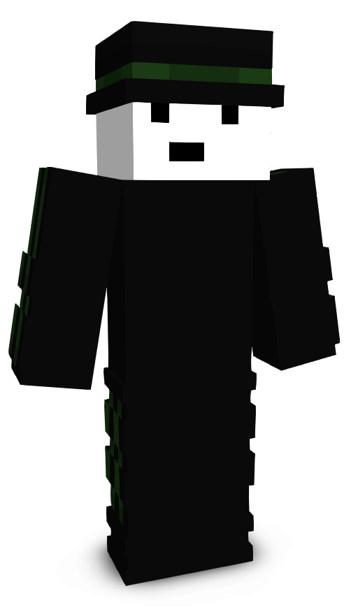 _VILL1N_'s skin
