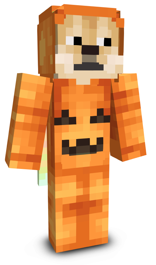 JB_DOGE's skin