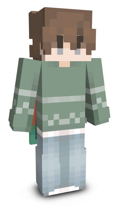 StreetViewYT's skin