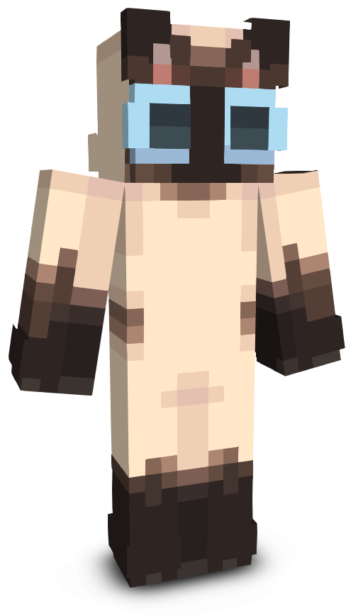 Leon1313's skin