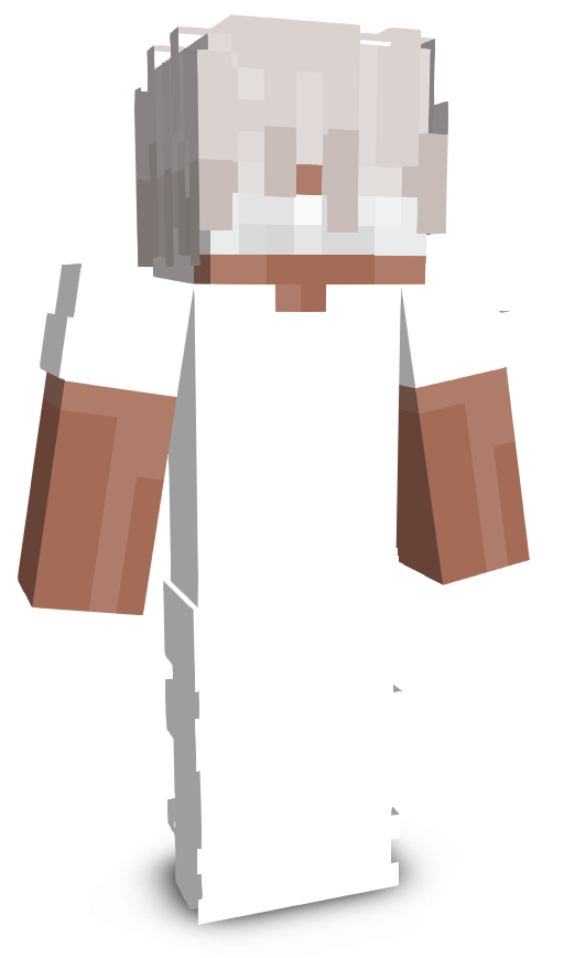 payhistory's skin
