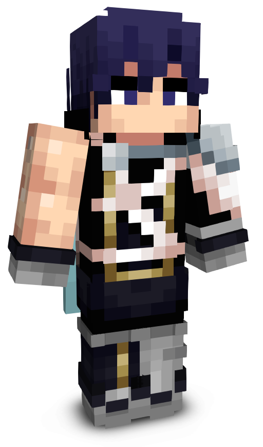 CrossVerify's skin