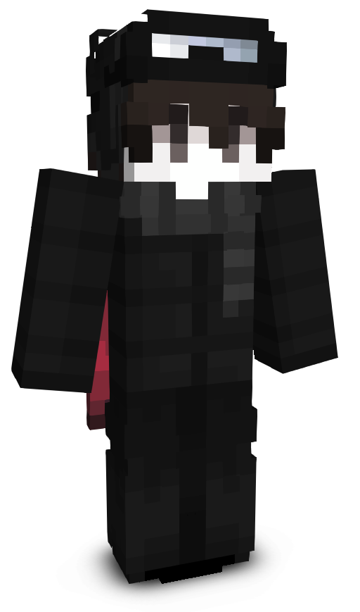 WintryFoil808's skin