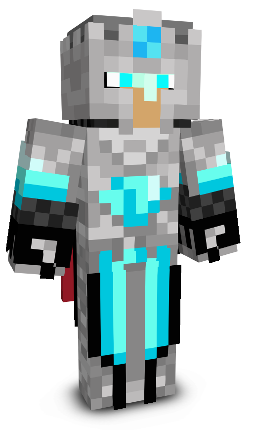 SL0WBR0's skin