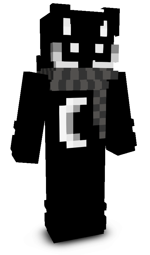 not_npc_on_60fps's skin
