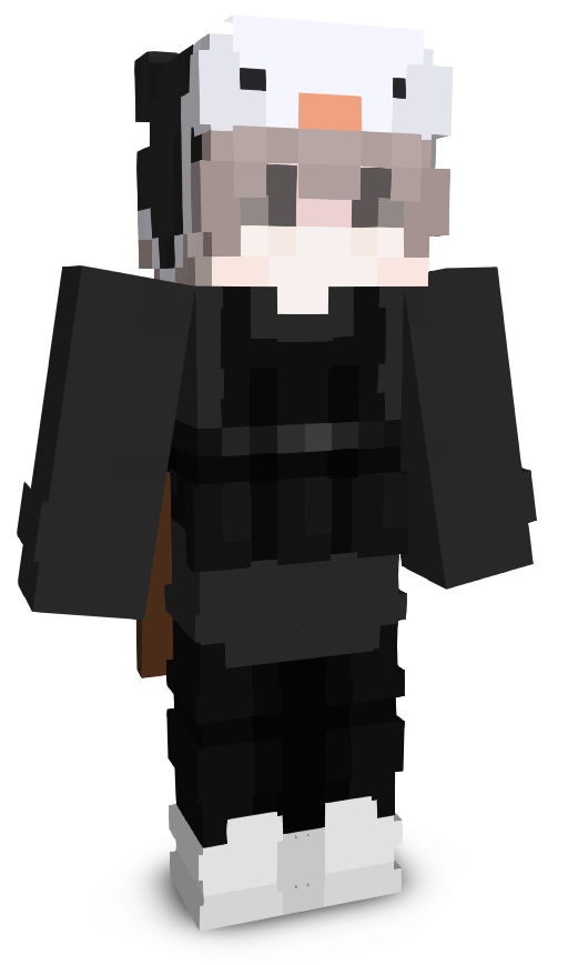 PsTheW_'s skin