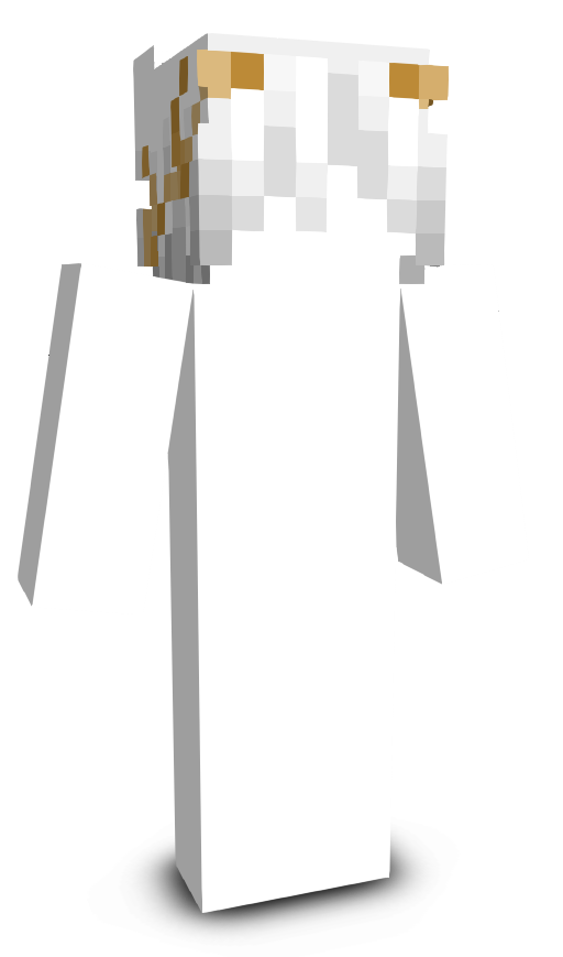 Nog1l's skin
