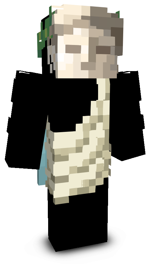 drwsi's skin