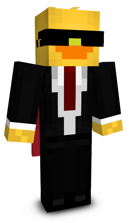 Blockerr's skin