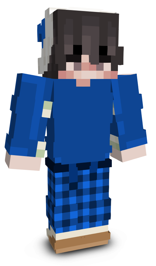 xyEnderX's skin