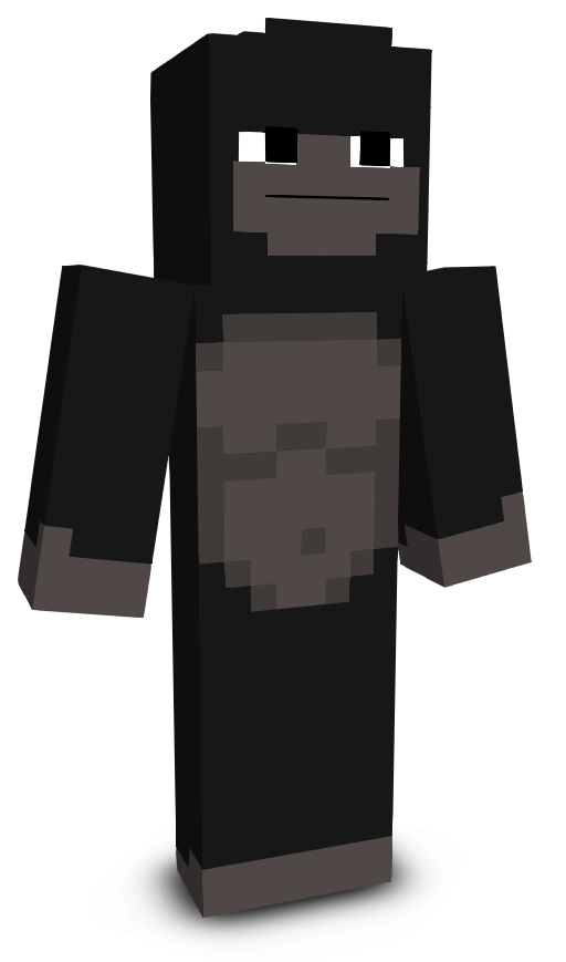 462kk's skin