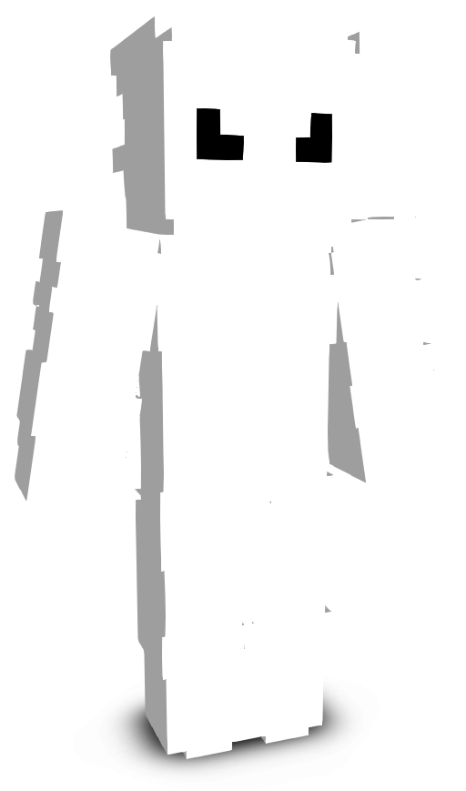 irtn's skin