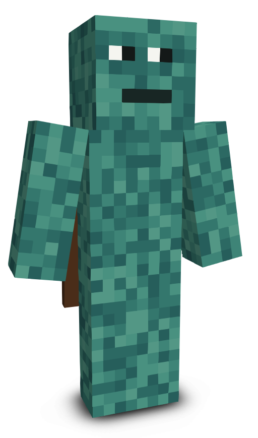 RemyxMinecraft's skin