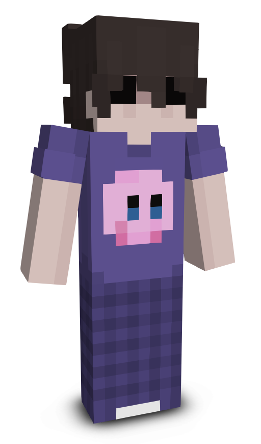 teestt's skin