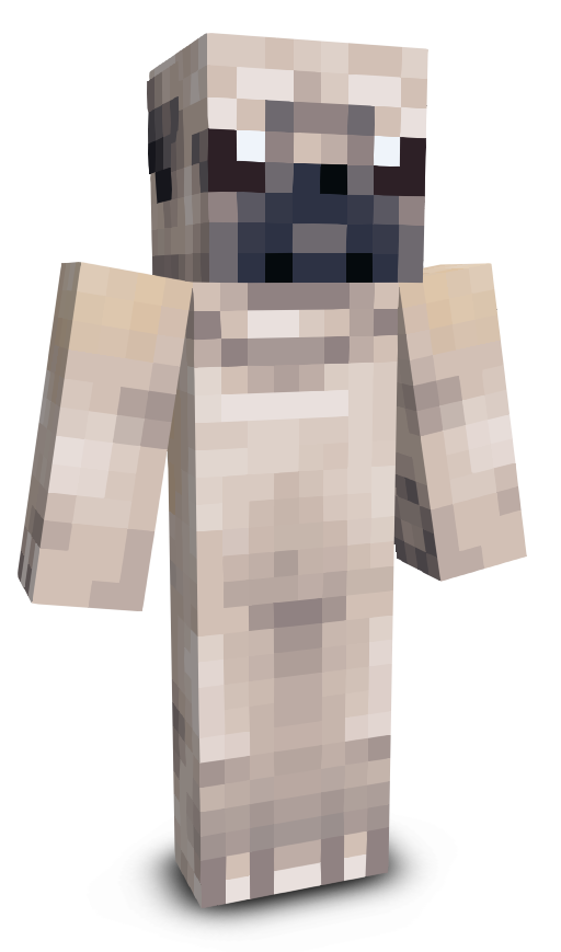 Tacolettucepoop's skin