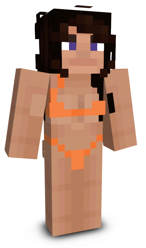 Craftymcpvp's skin