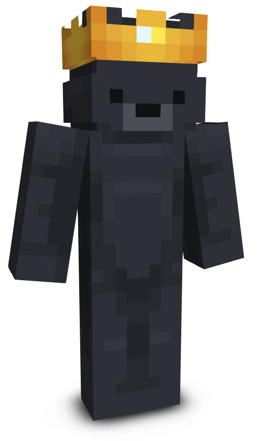LOL1200's skin