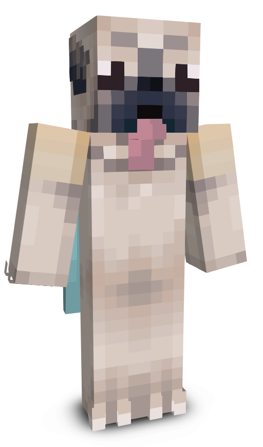 Wesleychann's skin