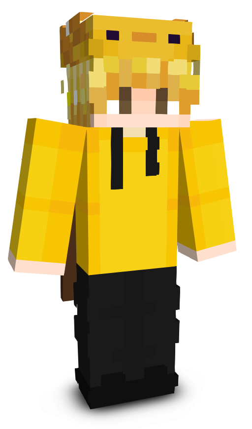 L0w0ngFox29q_'s skin