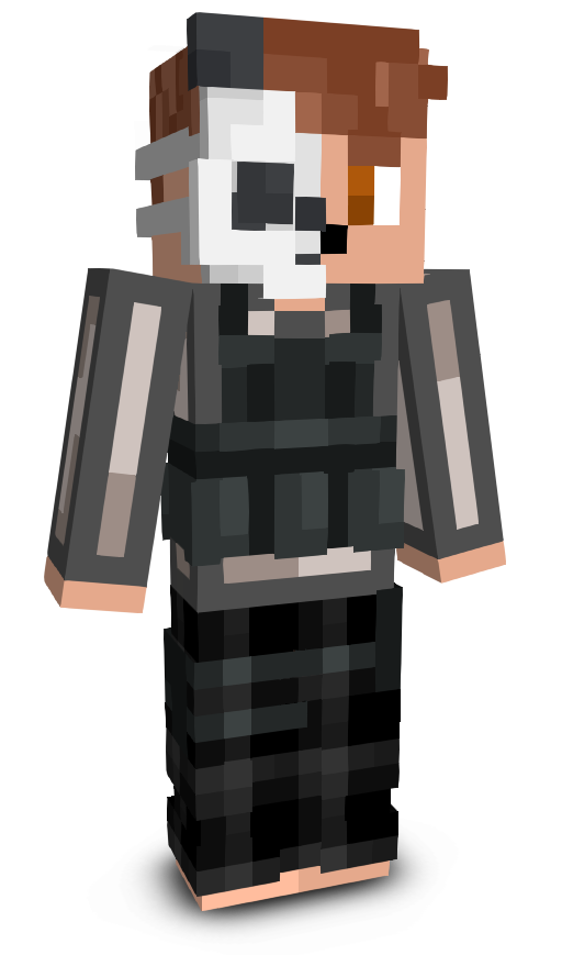 StannoFr's skin