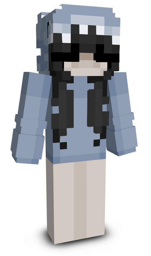 Directionistt's skin