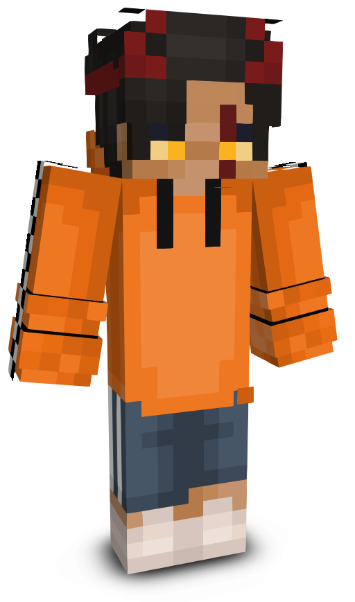 Ninja5tormNinja's skin
