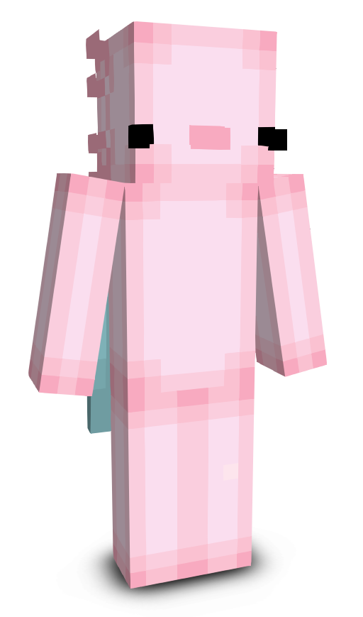 SlixzFr's skin