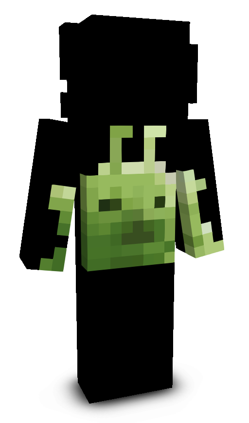 evnp's skin