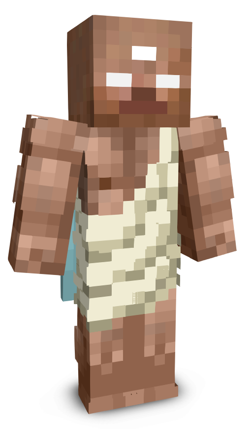 vn1p's skin