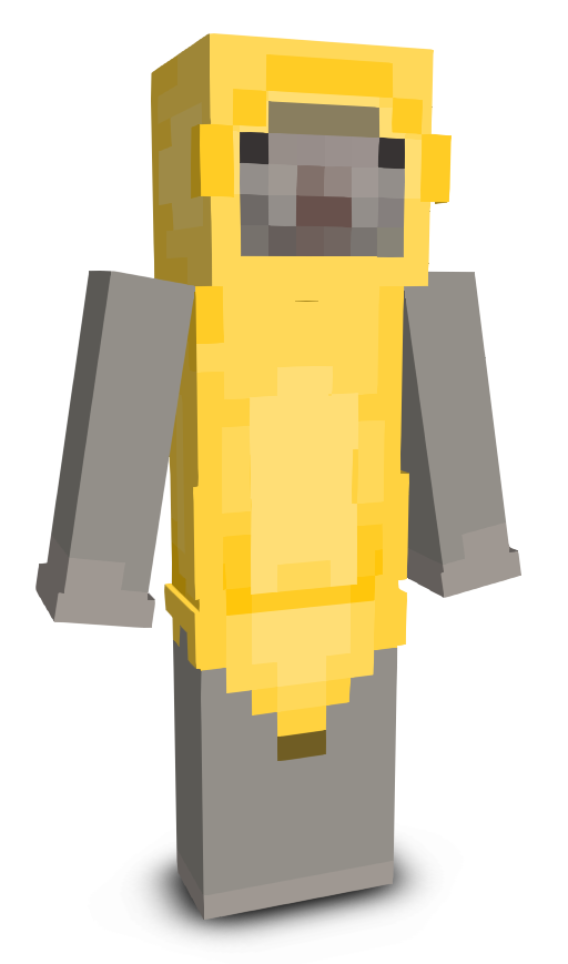 notshxrk's skin