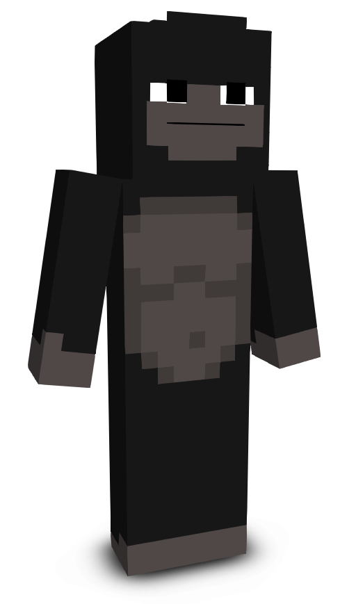 Aarushkc's skin