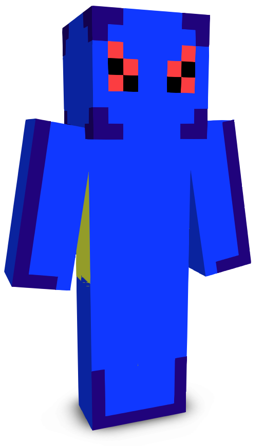 xRokri's skin