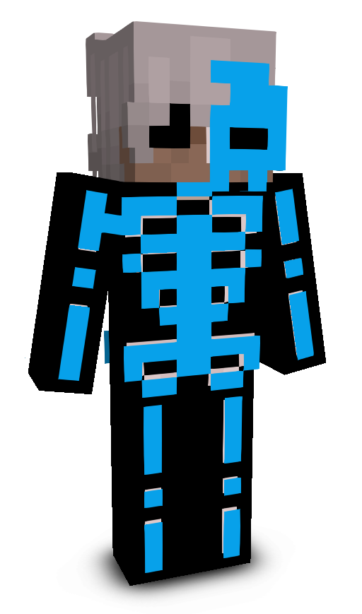 v2xmax's skin