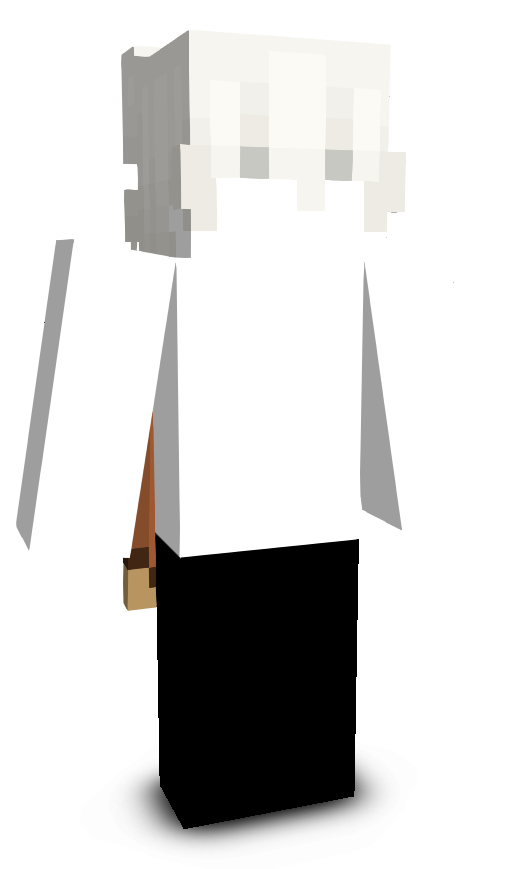 Z330's skin