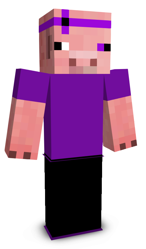 _v1se's skin