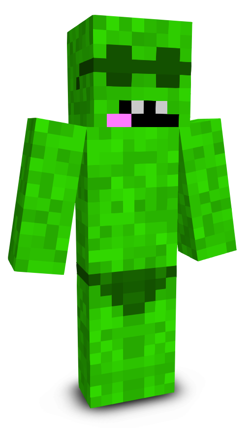 RoodeNinja123's skin