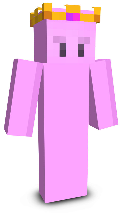soggytoaster321's skin