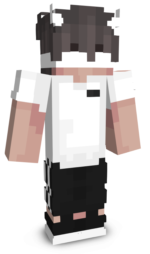 LightningRyder99's skin