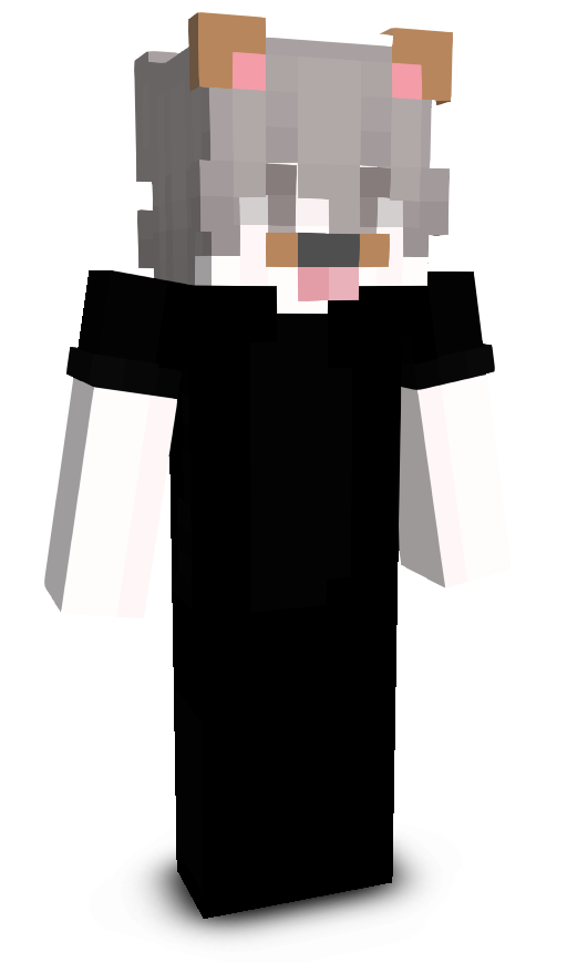 iSoupix's skin