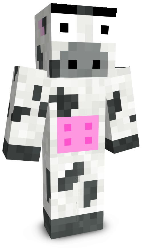 XK0W's skin