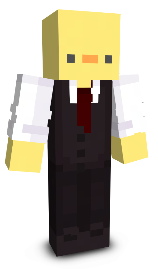 duckdudeMC's skin