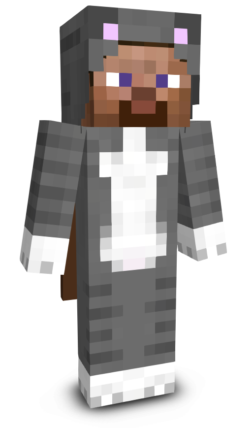 rwst's skin