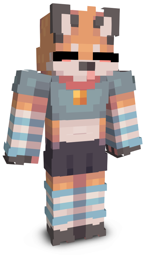 NinjaHack_On_top's skin