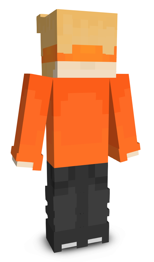 flak3ss's skin