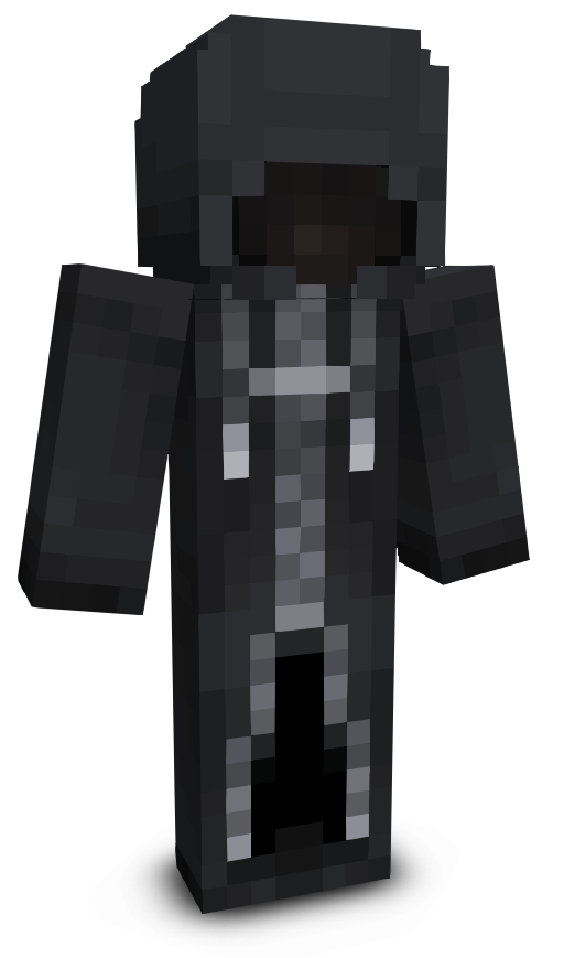SigNetO2's skin